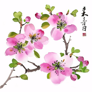 手绘苹果花桃花杏花