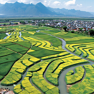 梦幻中国美田园风景