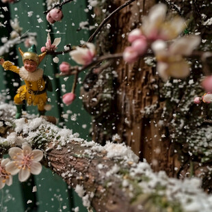 百花梅花桃花春节雪人