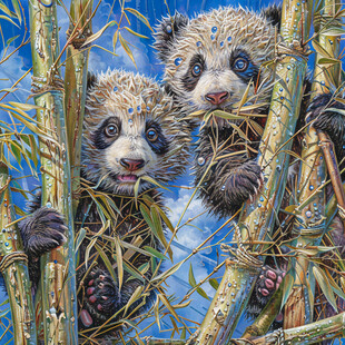 动物水彩画动物油画