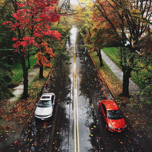 深秋雨中公路