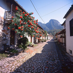 欧美乡村街景