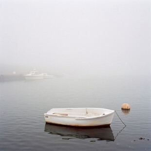 水上小舟大雾