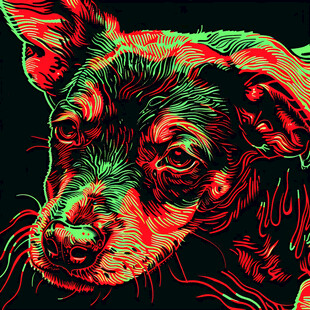 狗狗潮流插画