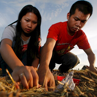 努力工作粮食系列作品