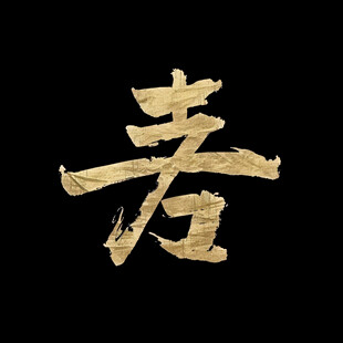 拳道金色毛笔字