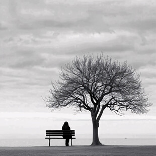 大树下的老人背影