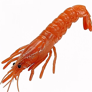 卡通小龙虾写实海鲜