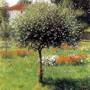 春之风影治愈系小插画