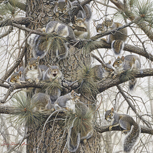 冬眠松鼠装饰画