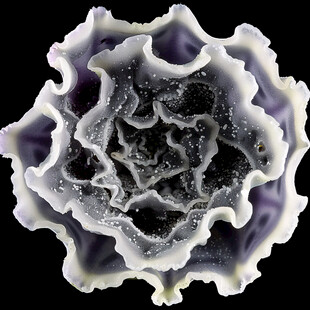 紫色梦幻细胞流体画