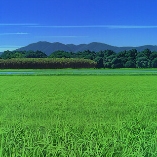 稻田远景图