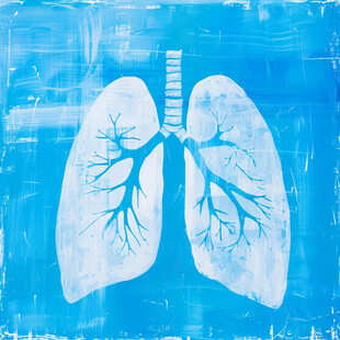 手绘肺部插画