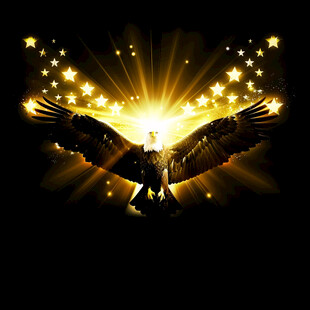 金色翅膀主题海报