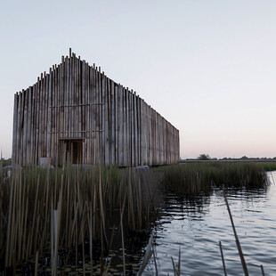 芦苇荡小屋傍晚