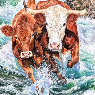 公牛装饰画