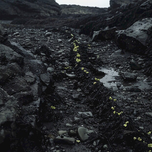 火山石海岸