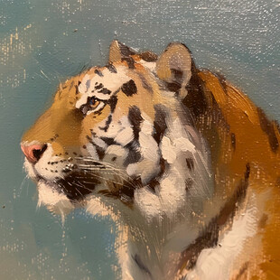 动物水彩画动物油画