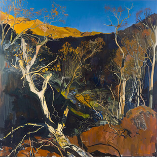 高空府视森林抽像画