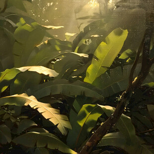 叶子光影背景