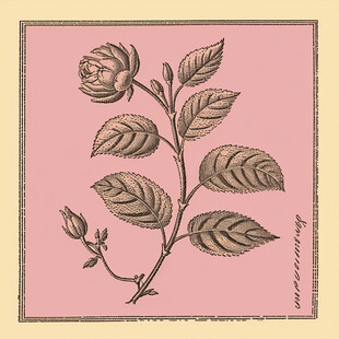 复古玫瑰花插画版画