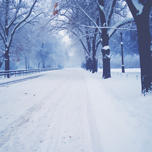 雪中的马路