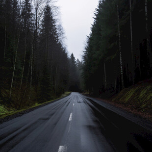 雨后林间道路