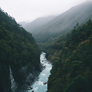 帕隆藏布江大峡谷