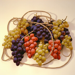 手绘写实葡萄