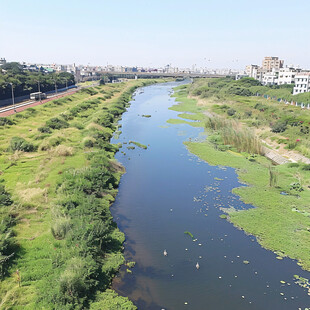 河道小河河边