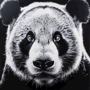 抽象画大熊猫