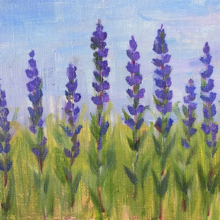 薰衣草水粉画