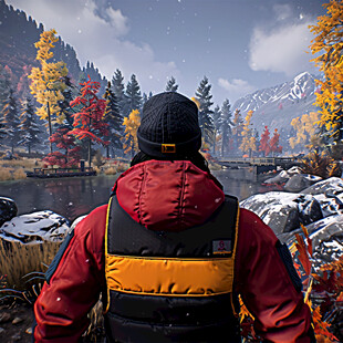 森林雪山高山湖泊黄叶