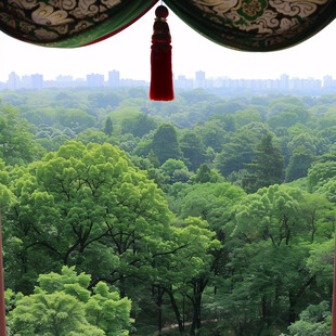 江南园林窗外青松