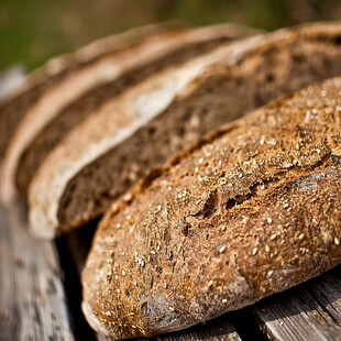 面包图片背景