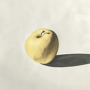 黄金苹果手绘插画