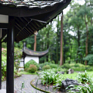 雨后中式园林