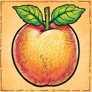 手绘苹果海报