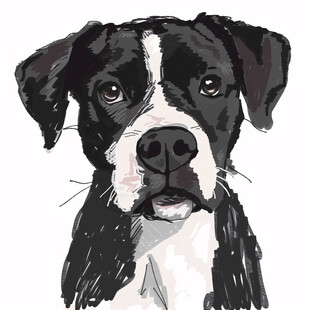 狗狗手绘鼠绘插画