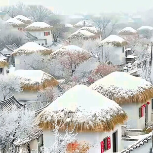 篱笆院青砖瓦房雪景