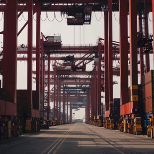 蛇口集装箱码头