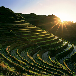 田梯夕阳田梯日落