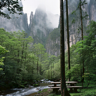 大龙湫风景