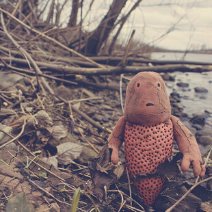 被丢在河边的玩偶