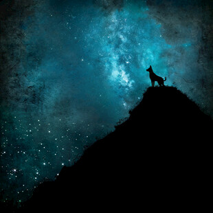 奔跑的骏马星空背景