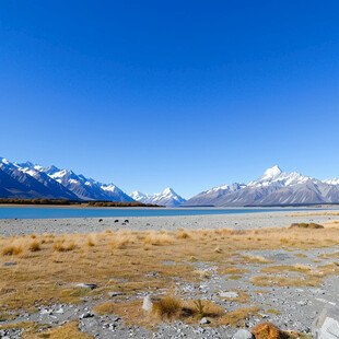 新西兰哈威亚湖风景