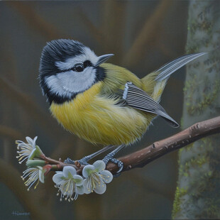 白头翁手绘装饰画