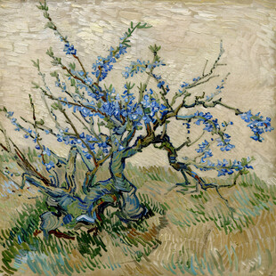 开花的树油画