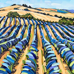 水稻梯田插画