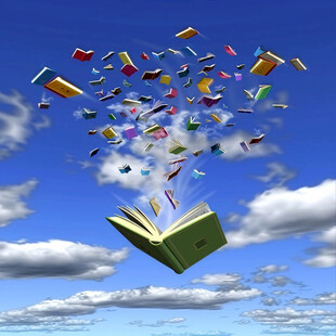 飞行的书本
